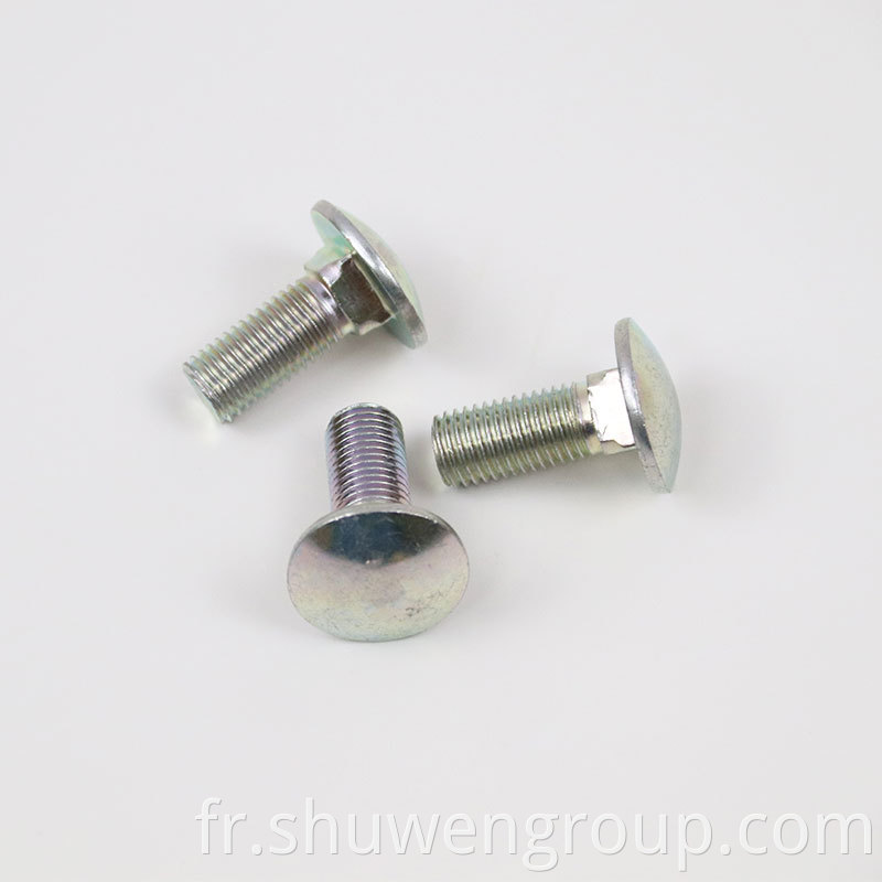 Round Head Carriage Bolts